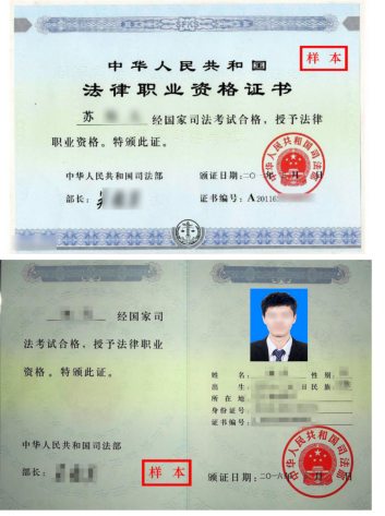 1703212279657405.png image.png